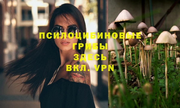 а пвп мука Верхний Тагил