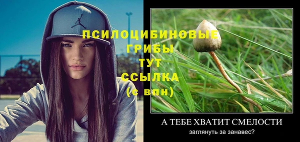 а пвп мука Верхний Тагил