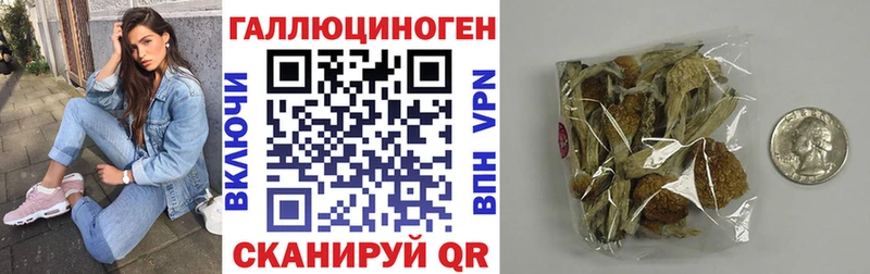 MEGA зеркало  Астрахань  Галлюциногенные грибы Cubensis 